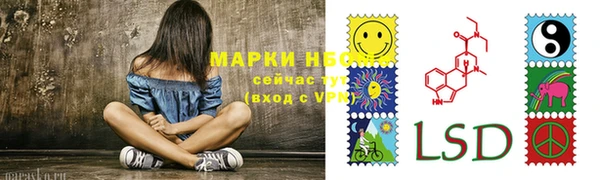 индика Белоозёрский