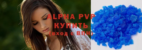 индика Белоозёрский