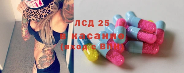 индика Белоозёрский