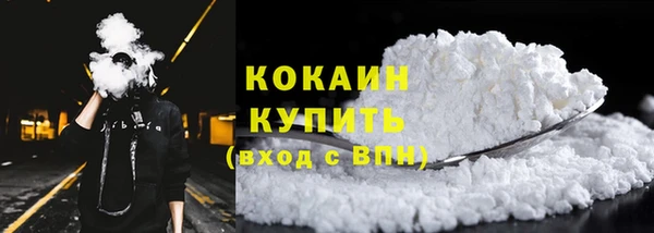 индика Белоозёрский