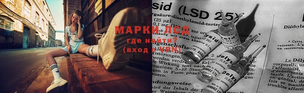 индика Белоозёрский
