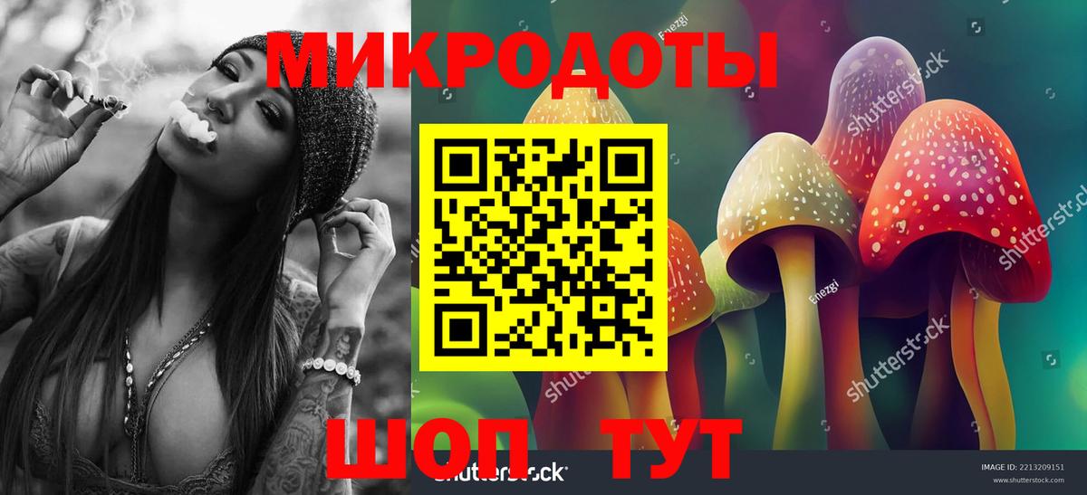 Псилоцибиновые грибы Cubensis Пыть-Ях